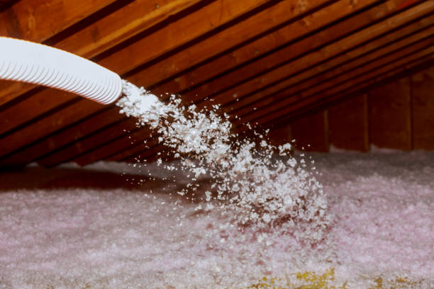 Professional Insulation Contractor in Newton, TX