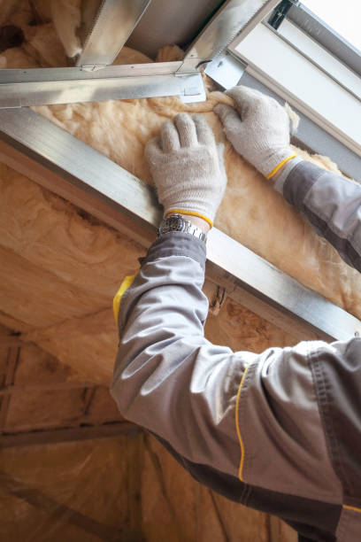 Types of Insulation We Offer in Newton, TX
