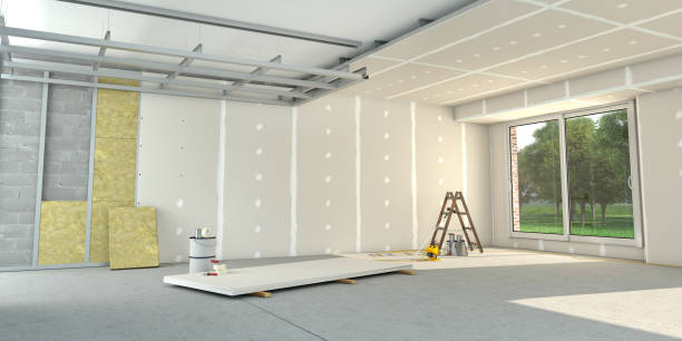 Best Cellulose Insulation in Newton, TX