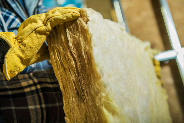 Best Blown-in Insulation in Newton, TX