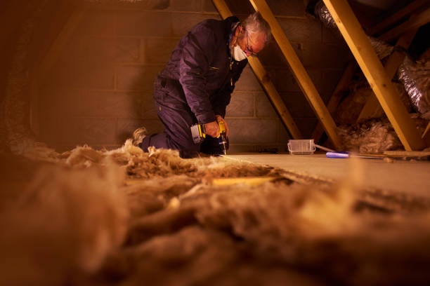 Best Insulation Maintenance and Repair in Newton, TX